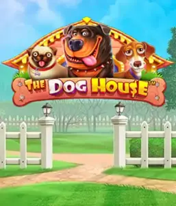 Experience Pragmatic Play's The Dog House, bringing you an adorable adventure through lovable dogs. Discover gameplay elements such as free spins, perfect for delivering joyful moments. A must-try for pet lovers an amusing theme with a chance for big wins.